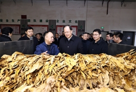 <CMSPRO_DOCUMENT FIELD='title'></CMSPRO_DOCUMENT>