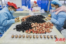 <CMSPRO_DOCUMENT FIELD='title'></CMSPRO_DOCUMENT>